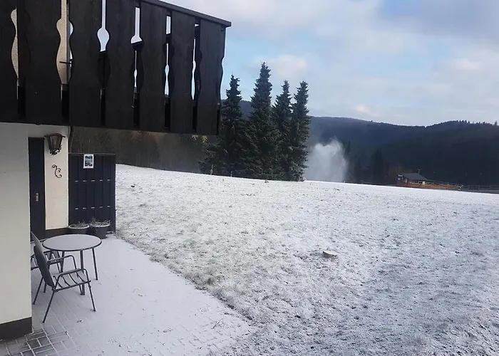 Ski in Ski out Neuastenberg
