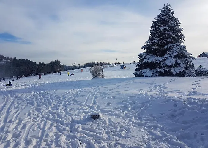 Ski in Ski out Neuastenberg